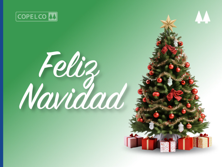 images/notas/1703363557-2023-12-23_feliz-navidad-nota-1.jpg